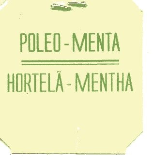 Poleo Menta_155
